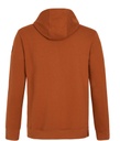 PRT NXGPARKER HD TORTO BROWN