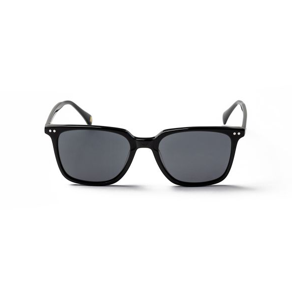 REDFORD SHINY BLK SMOKE LENSE
