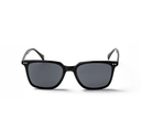 REDFORD SHINY BLK SMOKE LENSE