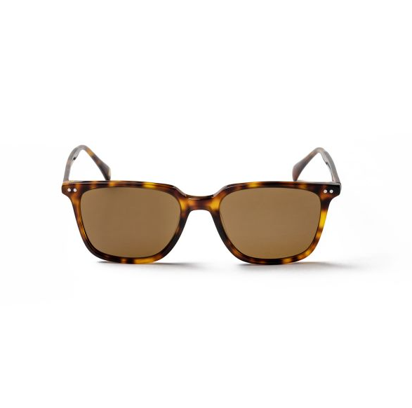 REDFORD DEMI BROWN BROWN LENSE