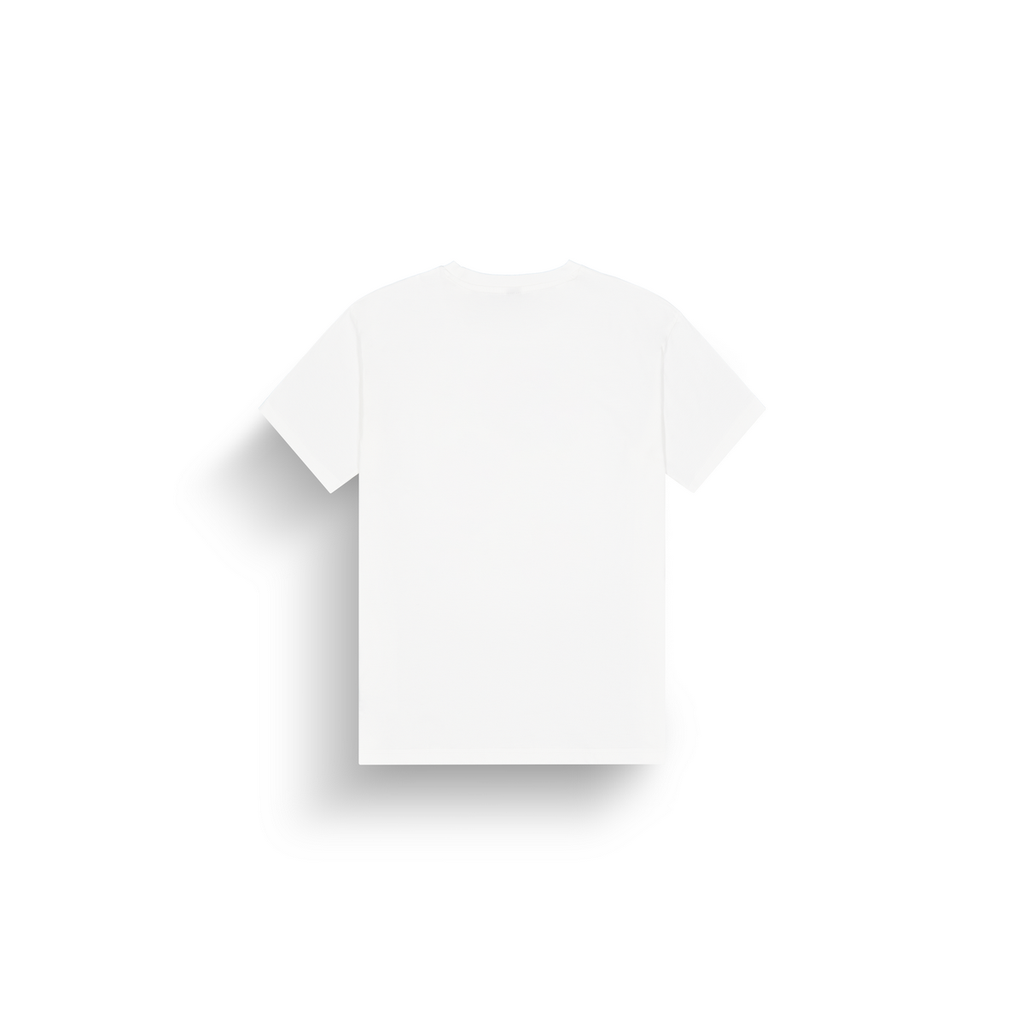 BASEMENT ASTER T B WHITE