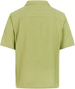 M NIXON SHIRT S/S FERN GREEN