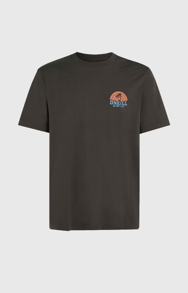 O'NEILL BEACH GRAPHIC T-SHIRT RAVEN