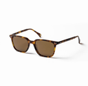 REDFORD DEMI BROWN BROWN LENSE