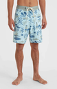 HYPERFREAK MYSTO SCALLOP 19" BOARDSHORT BLUE SKY
