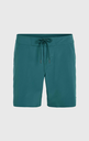 JACK O'NEILL SOLID FREAK 17" BOARDSHORTS BEETLE JUICE